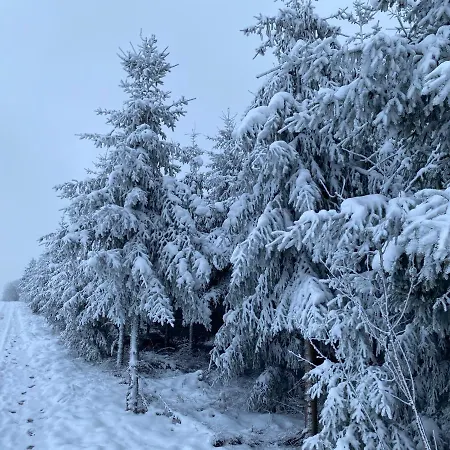 Gaestehaus Melitta アパート シュタットキル