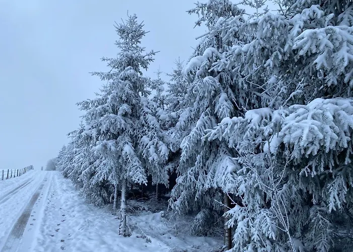 Gaestehaus Melitta Lägenhet Stadtkyll